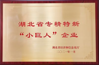 湖北省专精特新“小巨人” 企业