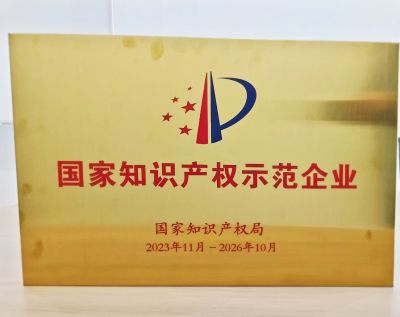 国家知识产权示范企业